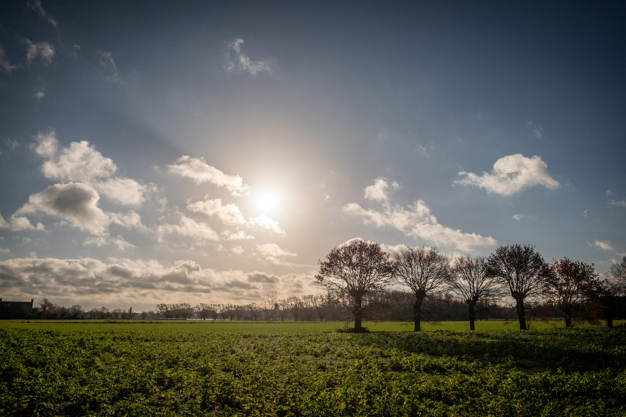 Daar is de zon: tot 25 graden vandaag, morgen stijgt kwik tot 27 graden