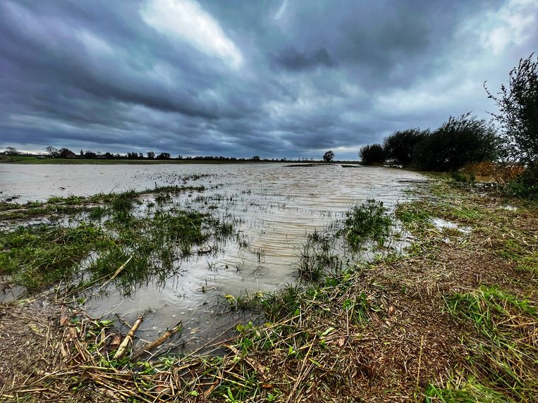 Veel regen verwacht in WestVlaanderen en zuidoosten van het land
