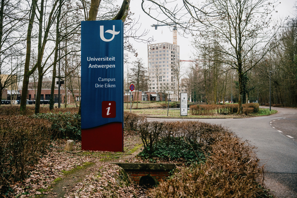 Nieuw opsporingsonderzoek naar decaan UAntwerpen na nieuwe klachten ...