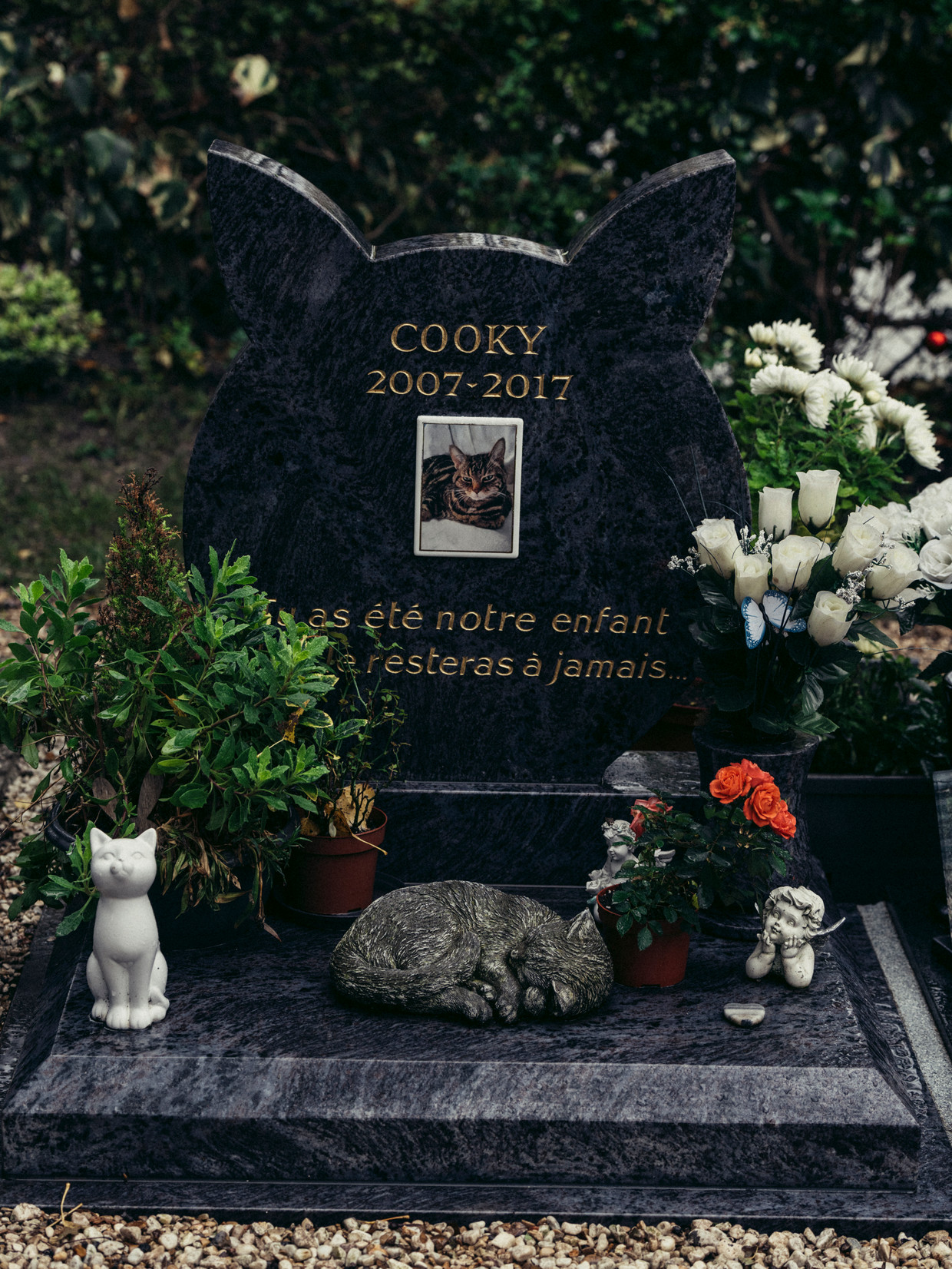 Nienke Endenburg: ‘Doorgaans kunnen kinderen het verlies van een dier beter plaatsen dan volwassenen. Maar je moet alles wel eerlijk uitleggen. Zeg niet dat de hond is weggelopen, want dan praat je je kind een trauma aan.’ Beeld Eva Beeusaert