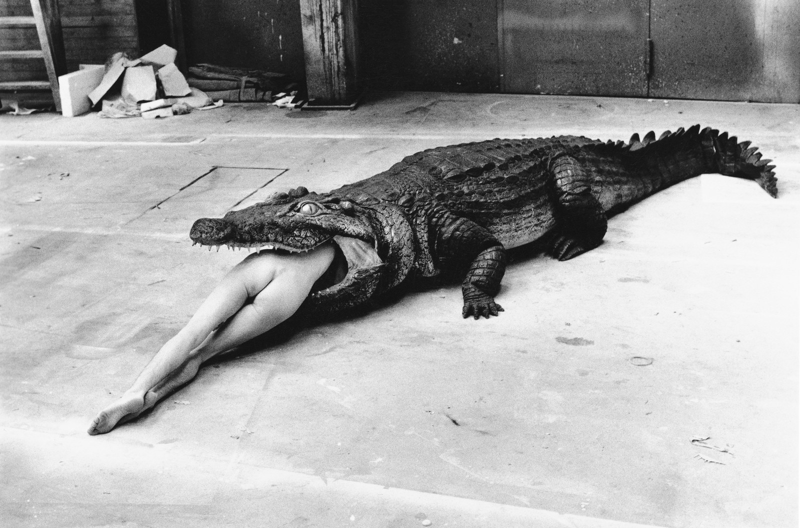 Helmut Newton liet vrouwen macht uitstralen, ook al waren ze schaars gekleed vrouw 1600x1057 hq naaktfoto Helmut Newton liet vrouwen macht uitstralen, ook al waren ze schaars gekleed foto