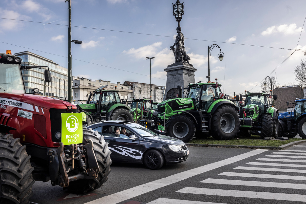 Maart 2023: boerenprotest in Brussel, in maart van dit jaar.  Beeld Franky Verdickt 