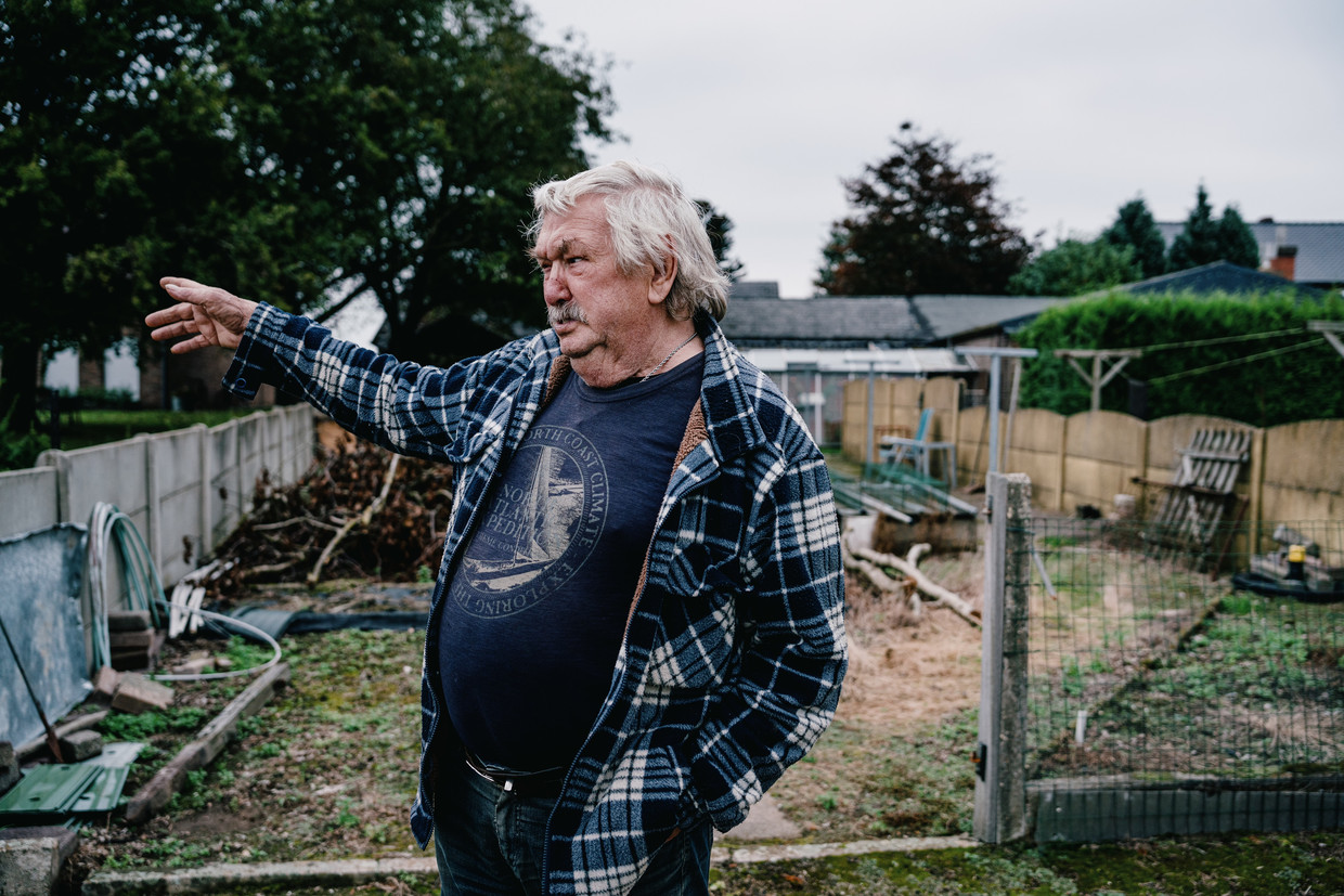 Onrust in Oudsbergen ‘Mensen zien nu elke dag wolven. Is dat nog normaal?’