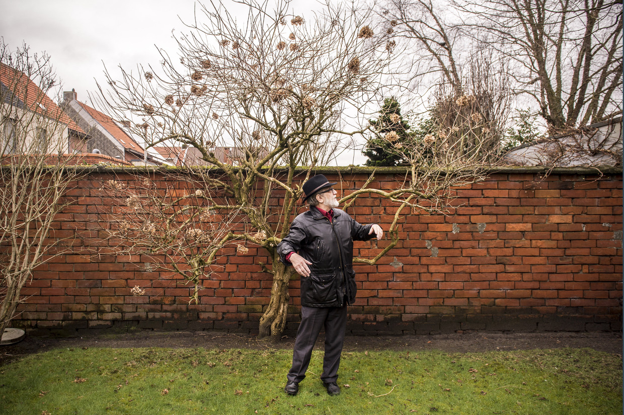  Roman- en toneelschrijver Walter van den Broeck is overleden. Hij werd 82.  Beeld ID/ Fred Debrock
