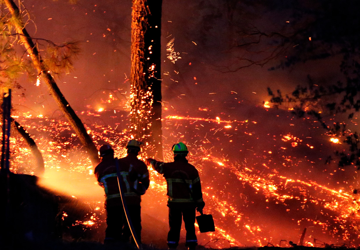 Brandweermannen bestrijden een bosbrand in Zuid-Frankrijk. Beeld AP