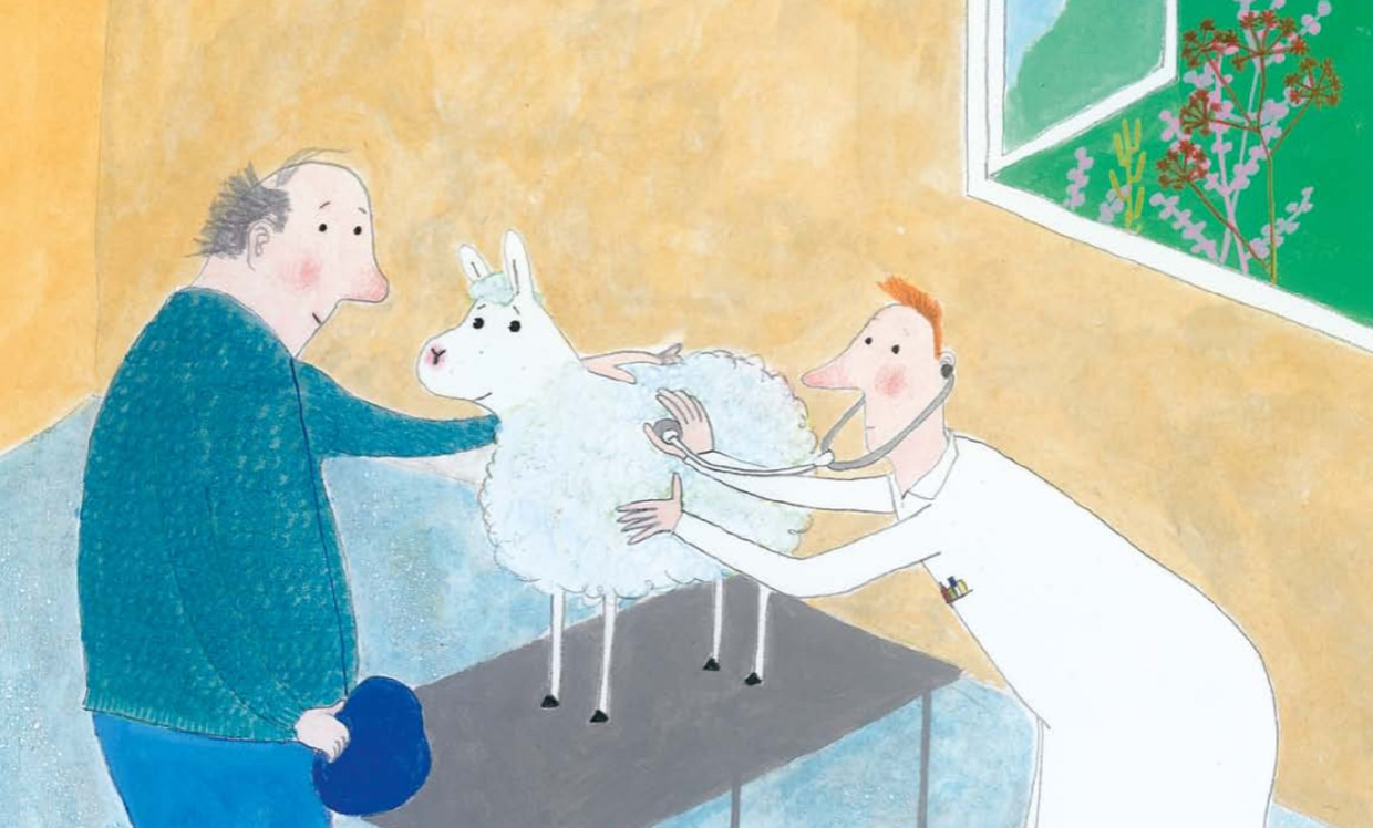 Van lammetje naar varken prentenboek wil