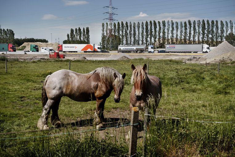 Hoe Vervuild Is Vlaanderen We Leven Onder Een Zwart Deken Van Giftige 
