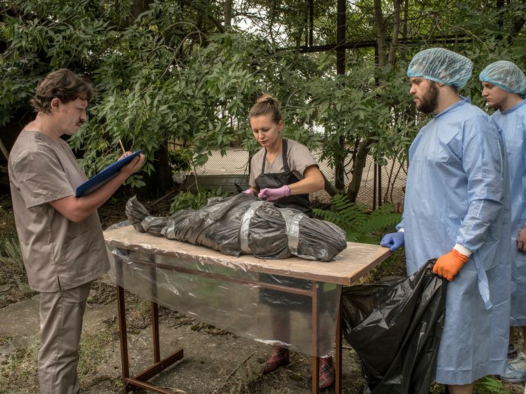Ukrainians are looking for evidence of war crimes in the stomachs of dead dolphins