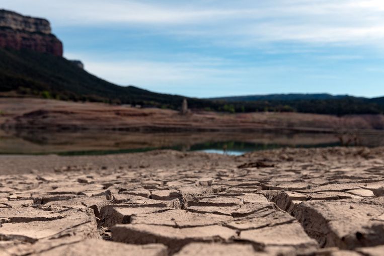 Emergency support for farmers and a ban on working in extreme temperatures