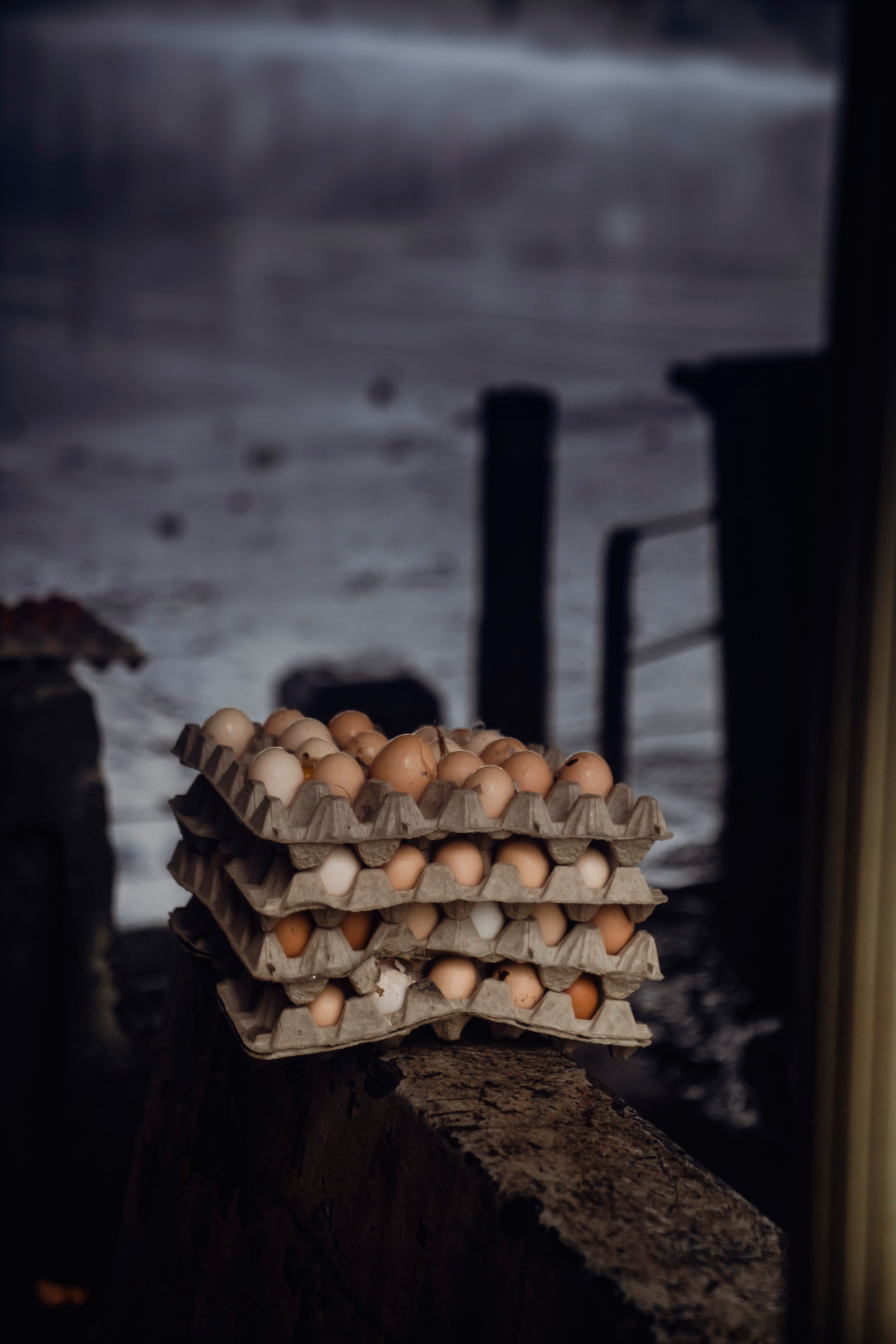 null Photo by Stefan Timmermann