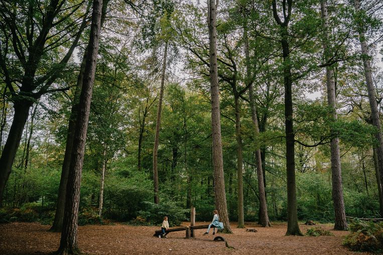 Vandaag cruciale stemming over natuurherstelwet het wordt (alweer) een dubbeltje op z’n kant