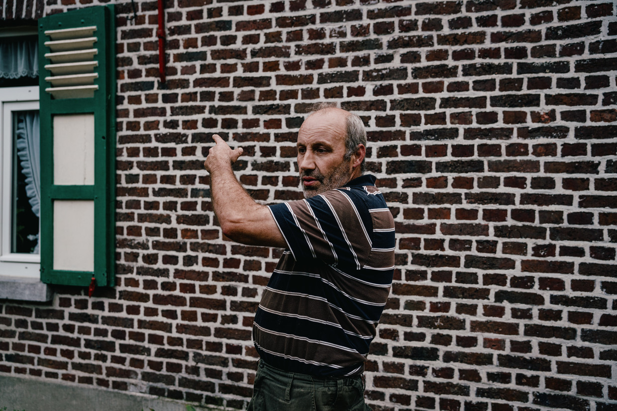 Onrust in Oudsbergen ‘Mensen zien nu elke dag wolven. Is dat nog normaal?’