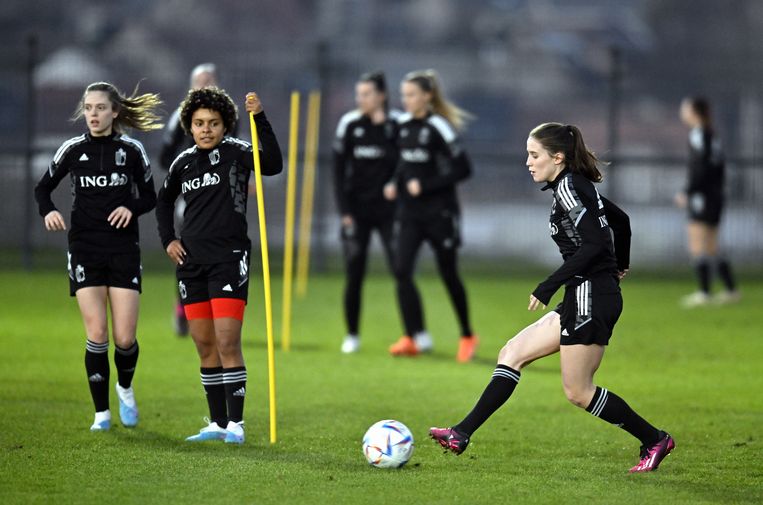 Le Fiamme Rosse aprono oggi l'Arnold Clark Cup contro l'Italia