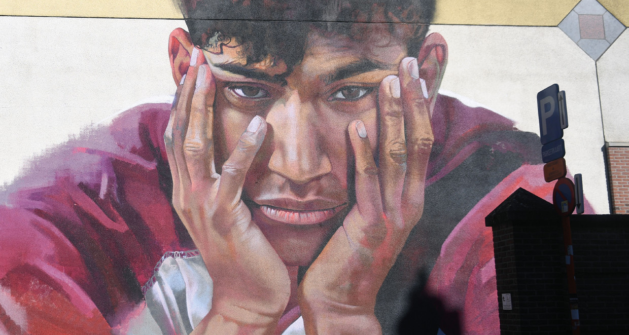 Een muurschildering ter herdenking van Sanda Dia. Papis Dia: ‘De enige hoop die me nog rest is dat Sanda niet voor niks is gestorven. Dat zijn dood het morele kompas van een aantal mensen heeft hersteld.’ Beeld Dirk Vertommen