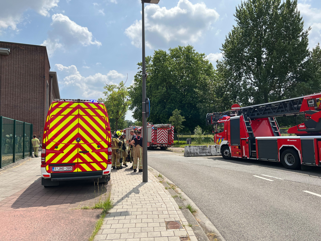 null Image Marc de Roque