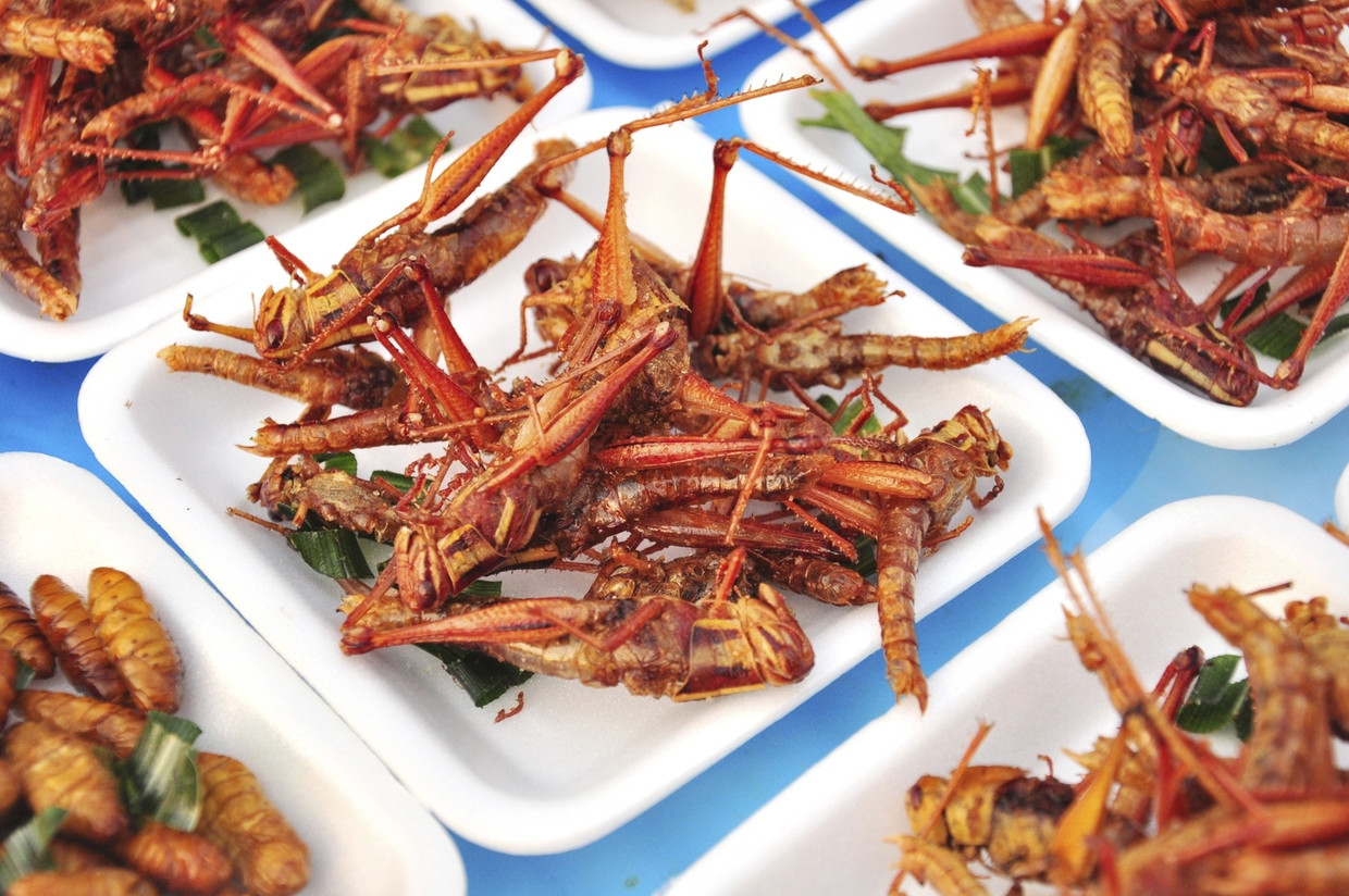 Vijf recepten voor beginnende De